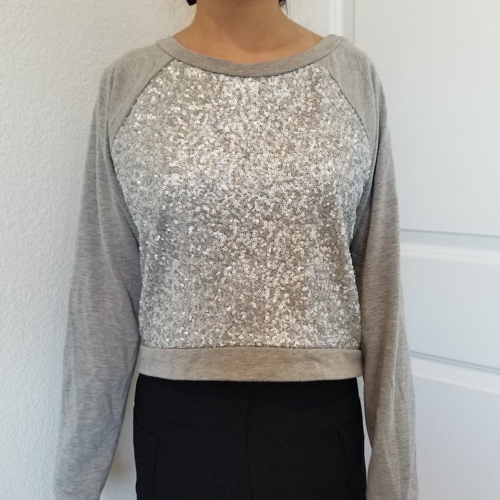 Sparkly Gray Long Sleeve Top.